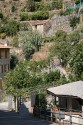 Start of the Vineyard Walk, where locals get a small area to grow plants - tomatoes, lemon trees, herbs and grapes in abundance