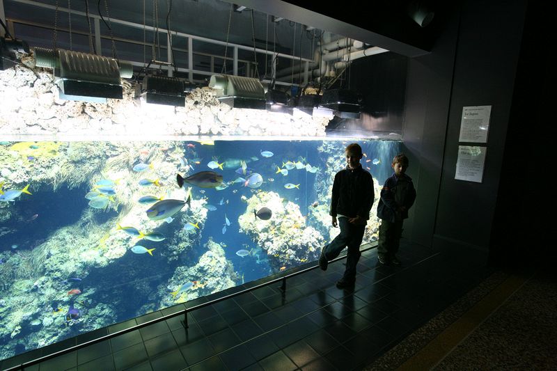 We visited Jaques Cousteau's famous museum which had exotic fish from all over the world.