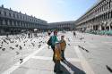 The pigeons were very tame - they would sit on your arm if you had food for them.